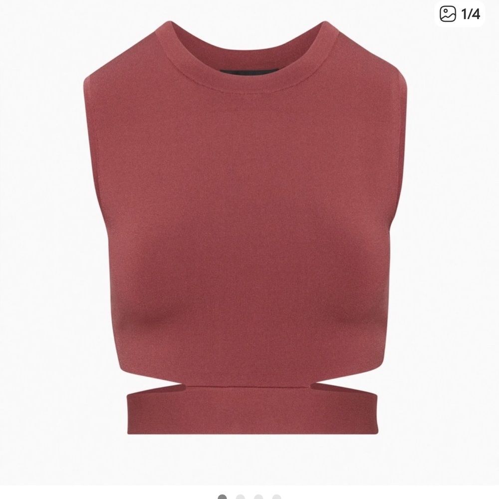 Babaton Retrospect sleeveless Crop Top in Rust size XS Color: Sundried Red
